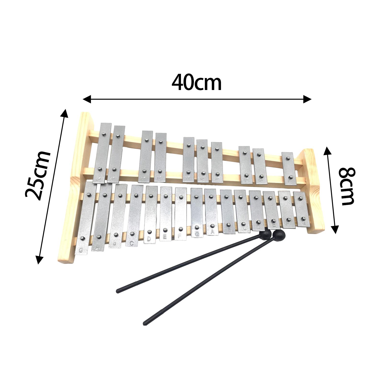 Xilofone de Metal com 25 Notas - Kids Toys Xylophone avaliação e preço
