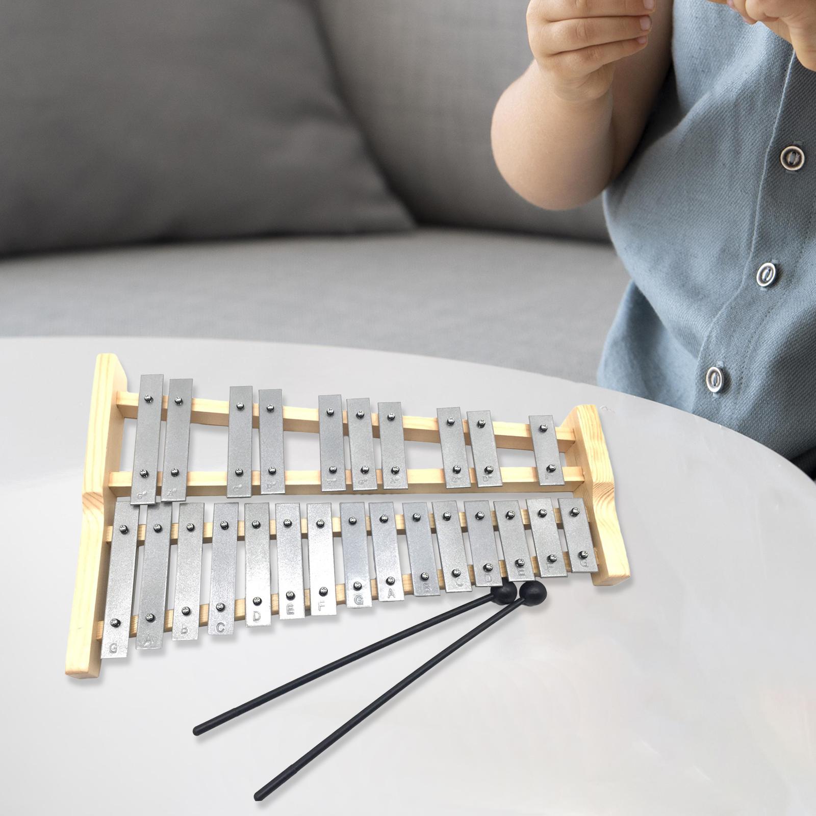 Xilofone de Metal com 25 Notas - Kids Toys Xylophone avaliação e preço