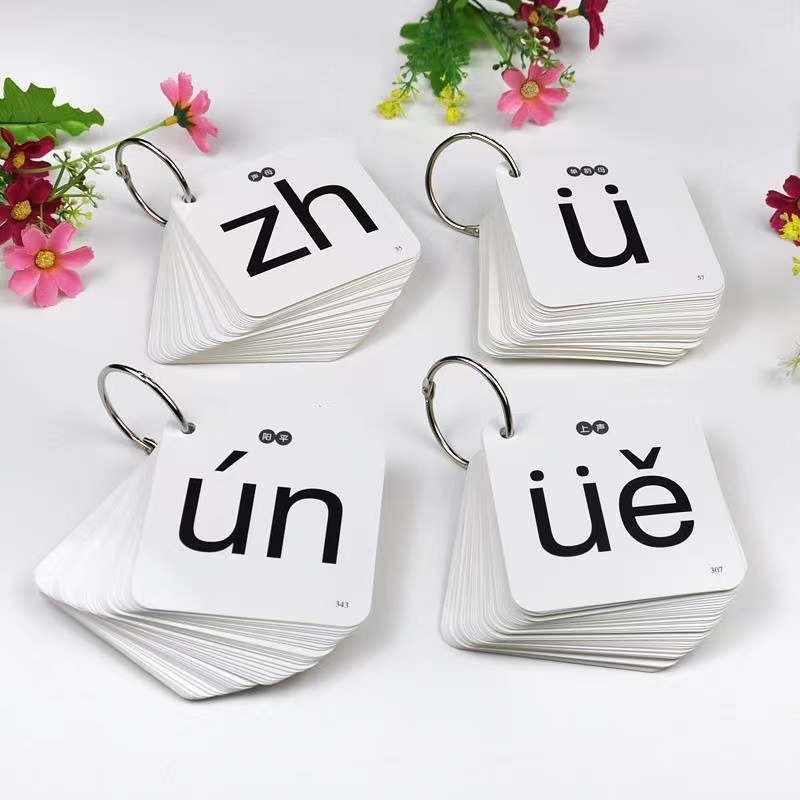 252 pçs/set aprendizagem chinê - Kids Toys Now avaliação e preço